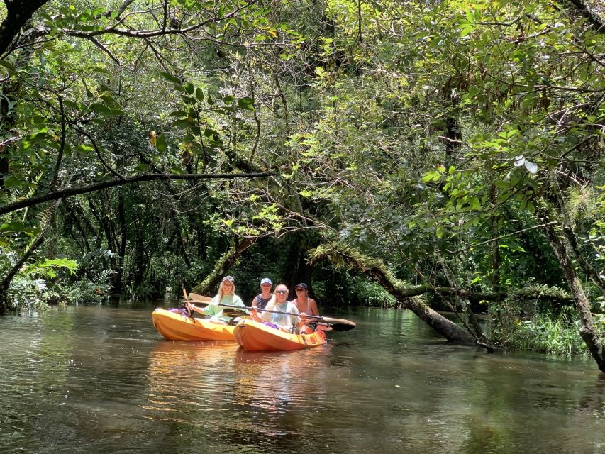Jupiter: Wild and Scenic Loxahatchee River Kayak Tour - Entering the Loxahatchee at Riverbend Park