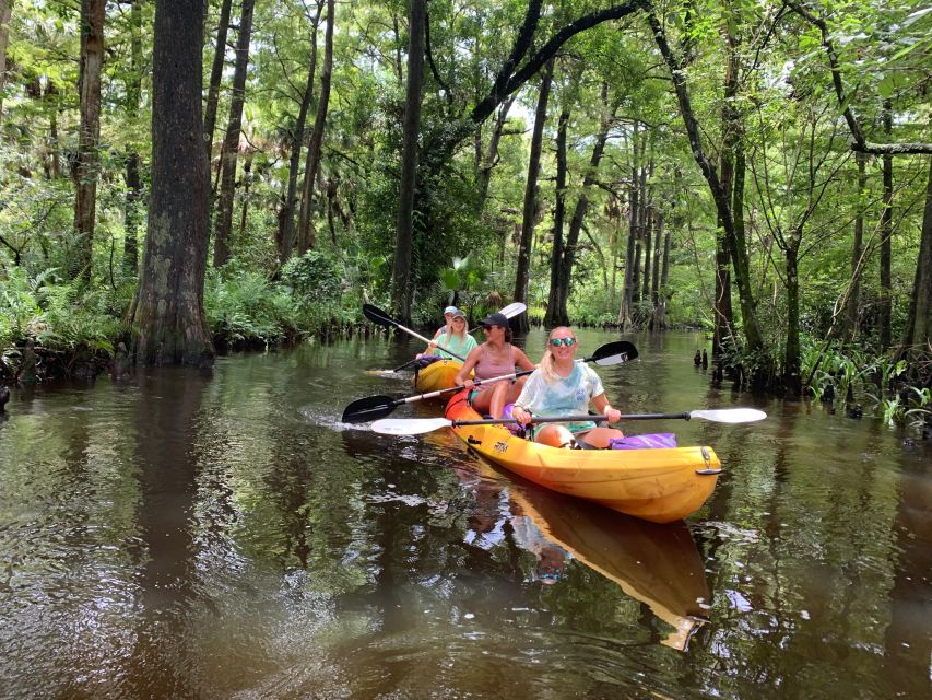 Jupiter: Wild and Scenic Loxahatchee River Kayak Tour - Two hours beneath cypress and Spanish moss