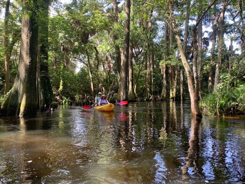 Jupiter: Wild and Scenic Loxahatchee River Kayak Tour - The story of Florida’s first Wild and Scenic River