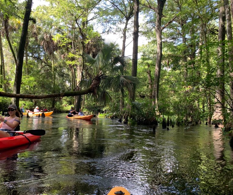 Jupiter: Wild and Scenic Loxahatchee River Kayak Tour - Is $69 a fair price?