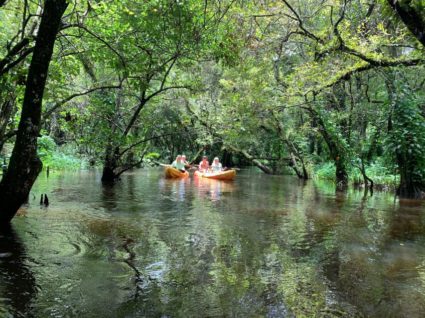 Jupiter: Wild and Scenic Loxahatchee River Kayak Tour - Who will enjoy this river trip most?