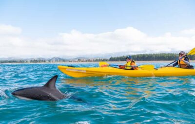 Kaikoura: Guided Family Kayaking Adventure