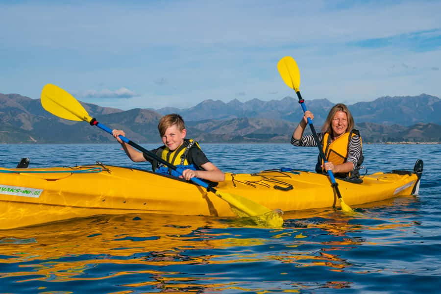 Kaikoura: Guided Family Kayaking Adventure - Watching fur seals in their natural setting