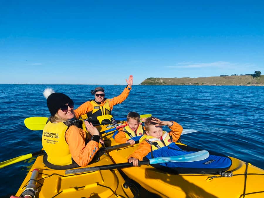 Kaikoura: Guided Family Kayaking Adventure - Why departure time matters