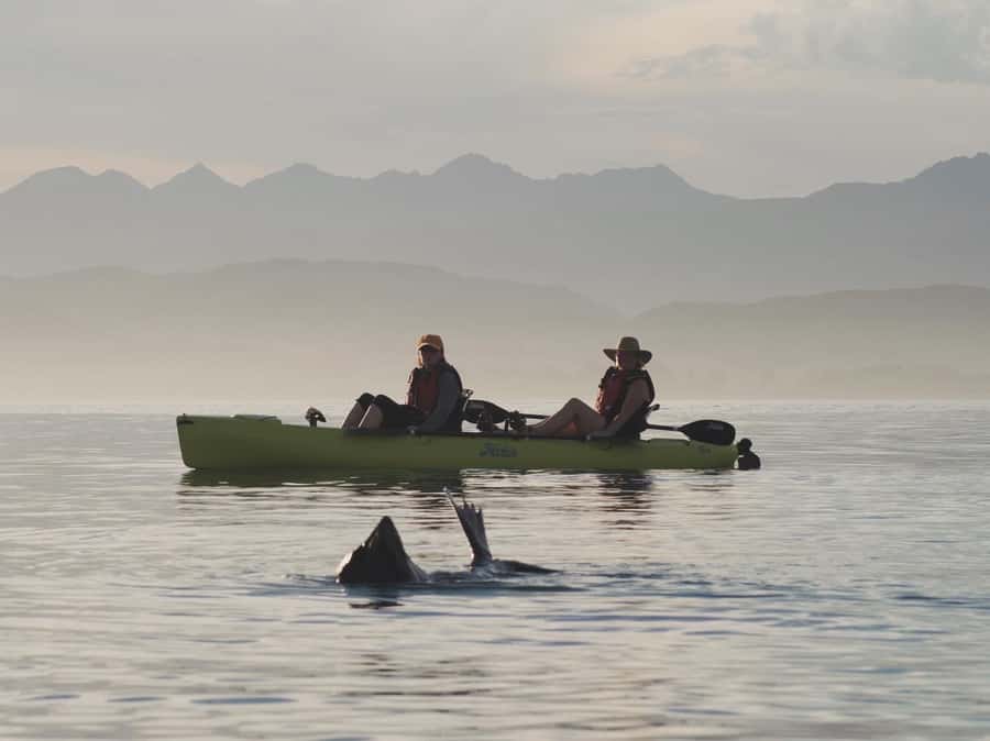 Kaikōura: Kayak Sunset Tour with Seal Sightings - Two hours along the peninsula coastline