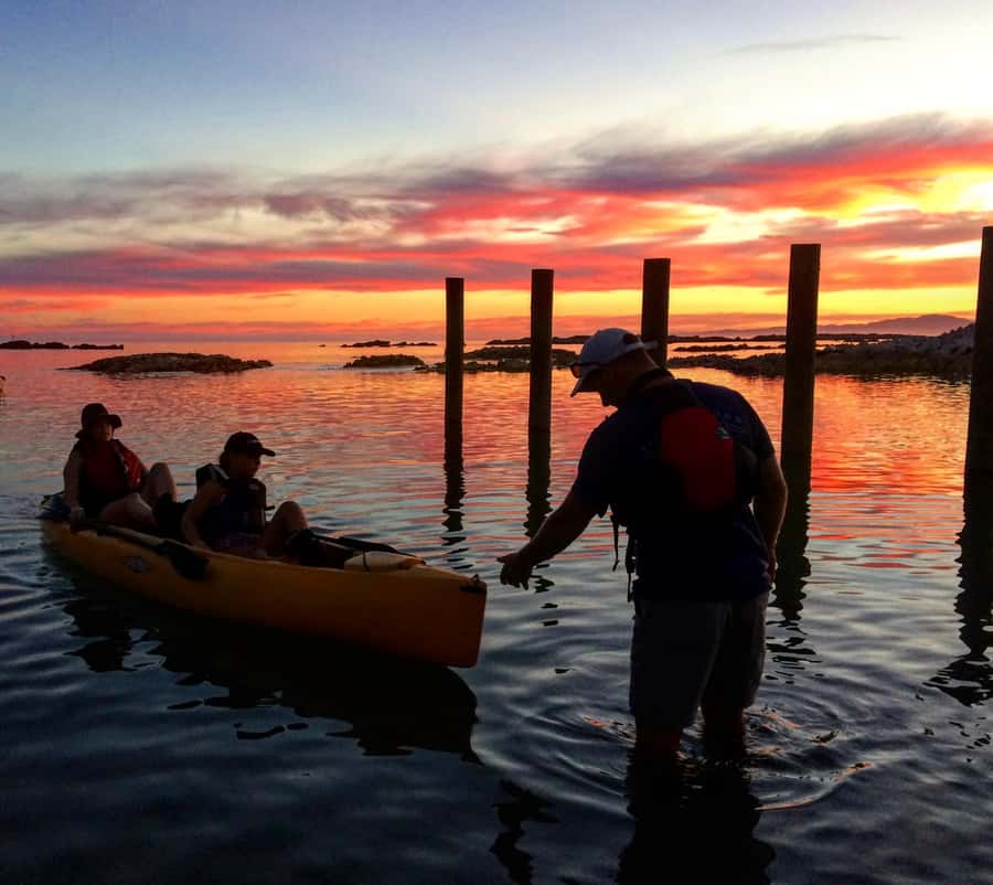 Kaikōura: Kayak Sunset Tour with Seal Sightings - The local story behind the scenery