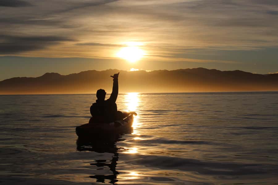 Kaikōura: Kayak Sunset Tour with Seal Sightings - Who will enjoy it most