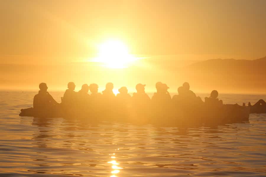 Kaikōura: Kayak Sunset Tour with Seal Sightings - Starting at 18 Beach Road