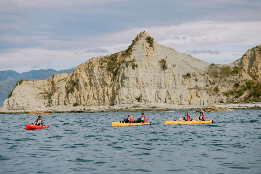 Kaikoura: Seal-Watching Pedal Kayak Tour - Watching fur seals from the water