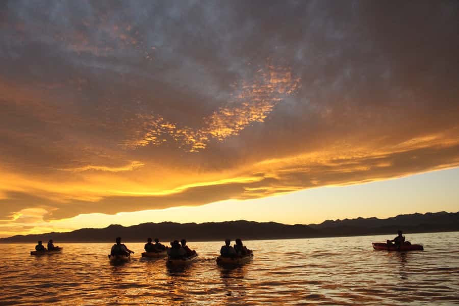 Kaikoura: Seal-Watching Pedal Kayak Tour - Who will enjoy this most?