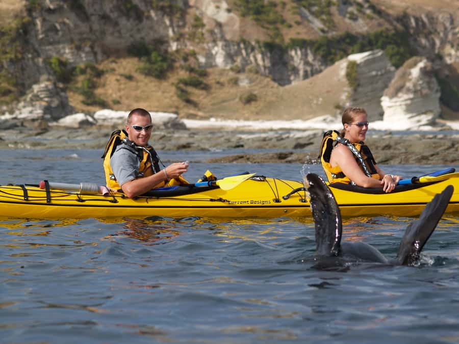 Kaikoura: Sunset Evening Kayaking Tour - Sunset, mountain views, and the return trip