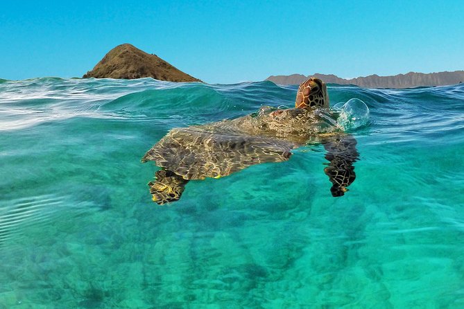 Kailua 2-Hour Guided Kayaking Excursion, Oahu - Paddling Kailua Bay Toward Flat Island