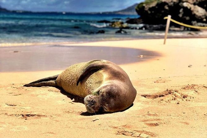Kailua Bay, Oahu: Epic Kayak and Snorkel to Islands - Starting near Kailua Beach Park