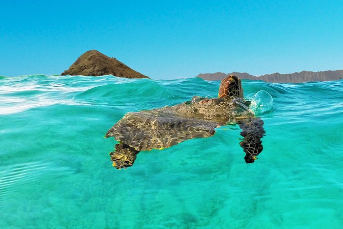 Kailua Bay, Oahu: Epic Kayak and Snorkel to Islands - Choosing Flat Island or the Mokulua Islands