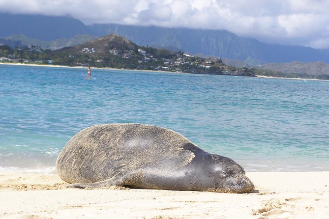 Kailua Bay, Oahu: Epic Kayak and Snorkel to Islands - How weather changes the day