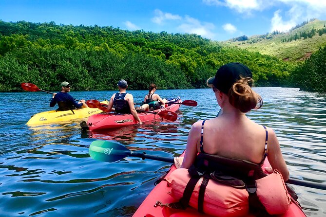 Kauai Adventure: Kayak & Hike to Secret Falls with Expert Guide - Why the Wailua River makes this more than a waterfall walk