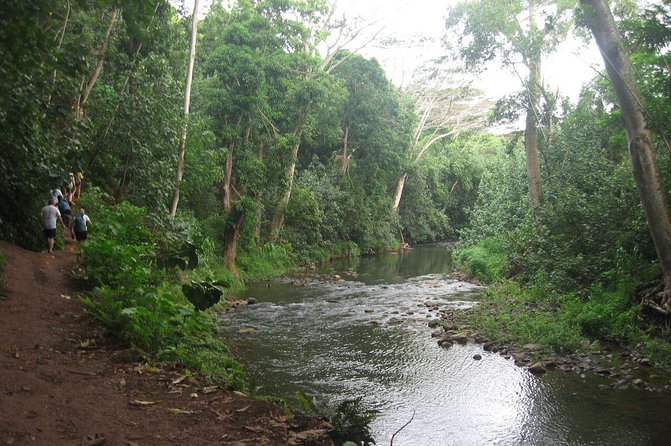 Kauai Adventure: Kayak & Hike to Secret Falls with Expert Guide - Paddling roughly four miles on the Wailua River