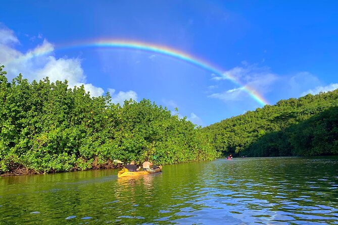 Kauai Adventure: Kayak & Hike to Secret Falls with Expert Guide - Uluwehi Falls, the payoff at the end