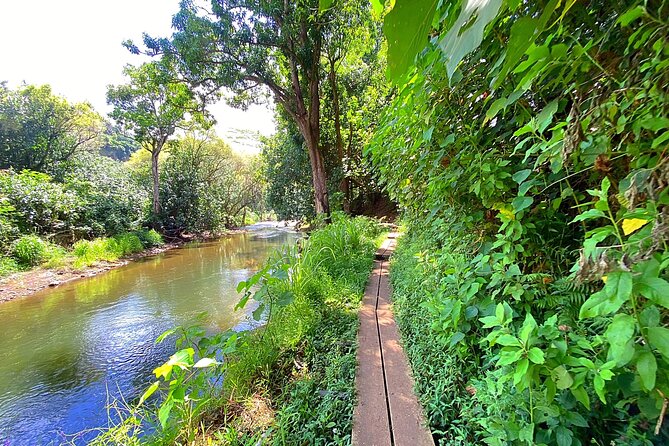 Kauai Adventure: Kayak & Hike to Secret Falls with Expert Guide - Guides who shape the experience