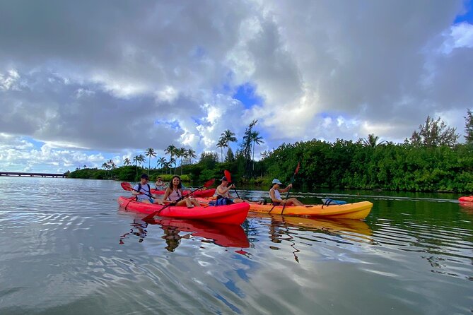 Kauai Adventure: Kayak & Hike to Secret Falls with Expert Guide - Is $140 a fair price?