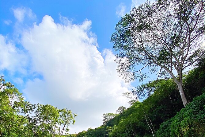 Kauai Adventure: Kayak & Hike to Secret Falls with Expert Guide - What to wear and pack for the wet parts