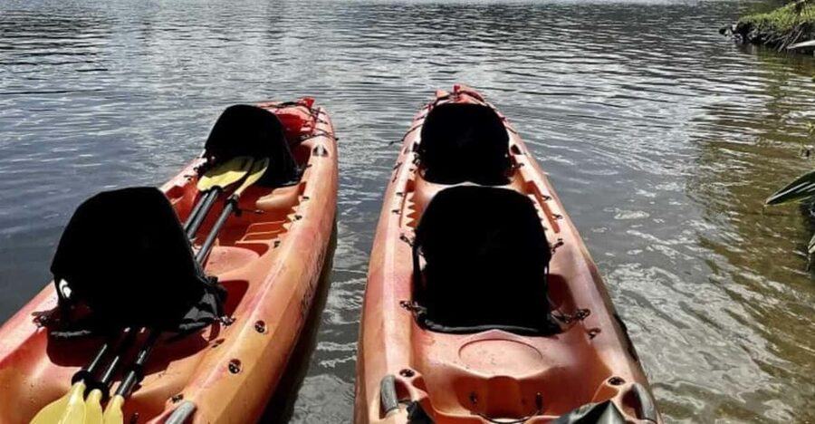 Kauai: Guided Kayak and Hike to Secret Falls - The one-mile jungle hike is wetter than it sounds