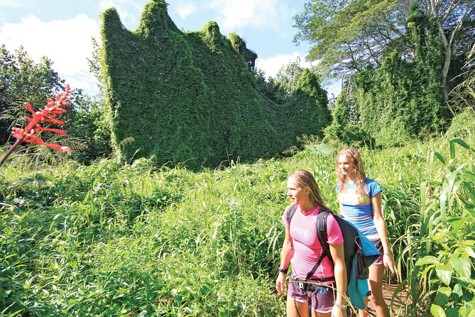 Kauai: Secret Falls Kayak and Hike - Why the Wailua River makes this trip special