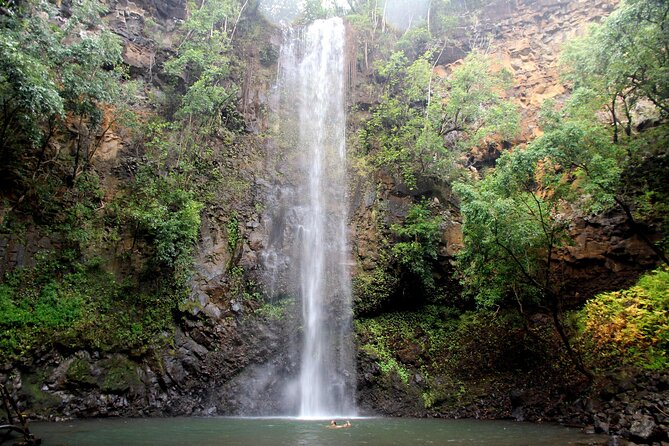 Kauai: Secret Falls Kayak and Hike - What the guide adds to the experience