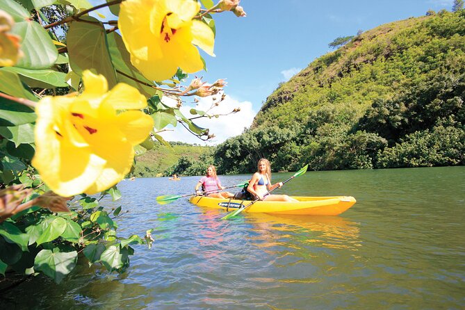 Kauai: Secret Falls Kayak and Hike - Timing, meeting point, and cancellation