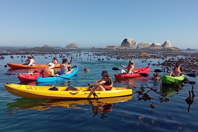Kayak Adventure at Clifton Beach - Rock Pools, Kelp Forests, and Maiden’s Cove