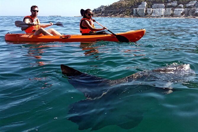 Kayak Adventure at Clifton Beach - Returning to Clifton 4th Beach