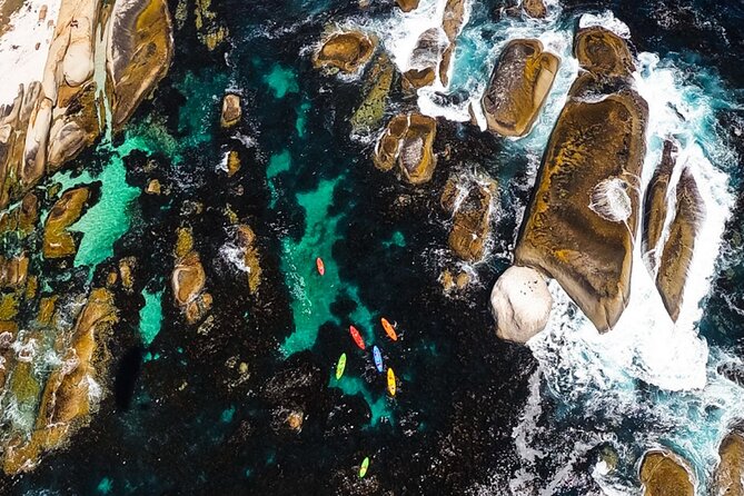 Kayak Adventure at Clifton Beach - The Guide Support and Comfort Level