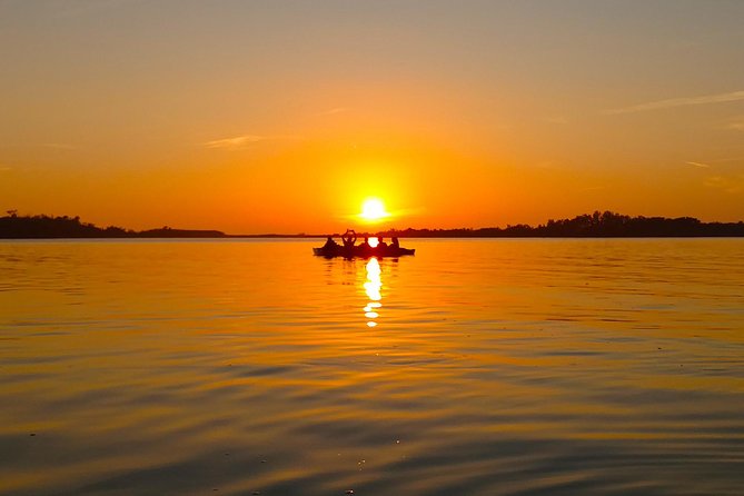 Kayak Adventure of Shell Key Preserve & Island with a Local - Starting at Tierra Verde for a Shell Key morning