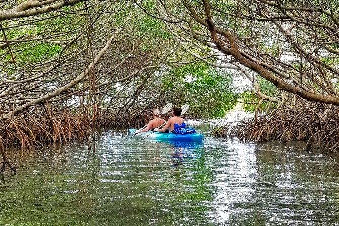 Kayak Adventure of Shell Key Preserve & Island with a Local - Mangrove tunnels when the tide allows