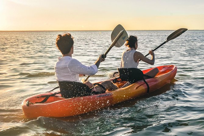Kayak adventure through Laguna Nichupté in Cancun - Families, couples, and solo paddlers