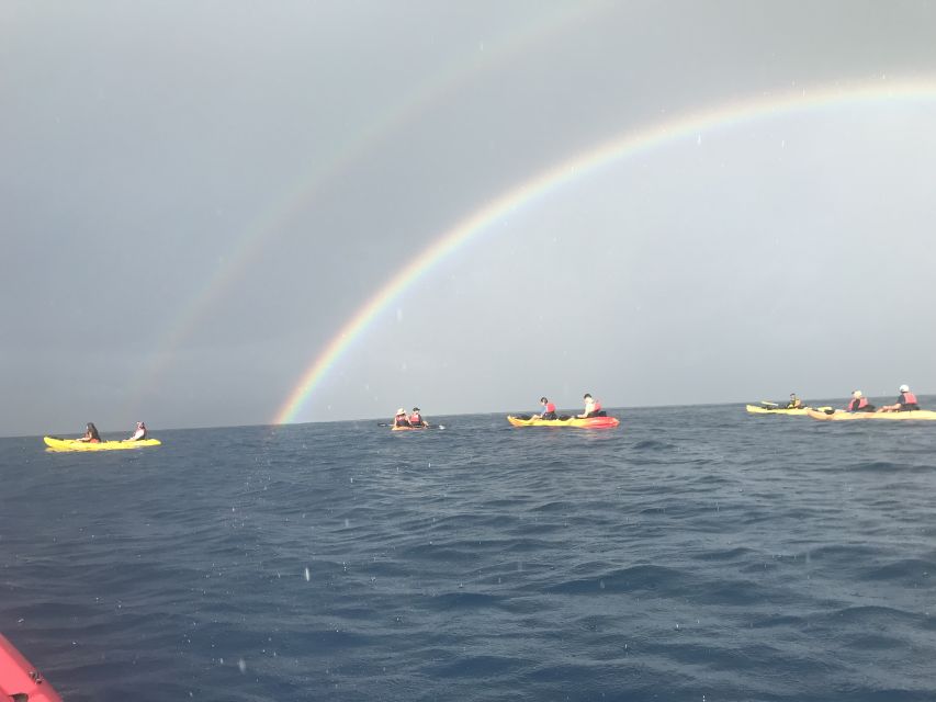 Kayak and Snorkel West Maui at Olowalu - Key things to know before you go