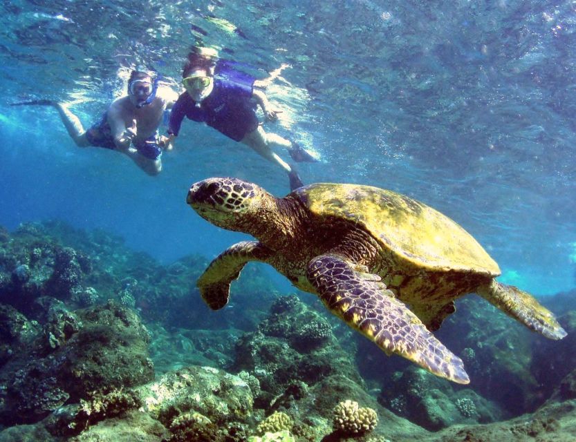 Kayak and Snorkel West Maui at Olowalu - Practical booking details for Olowalu