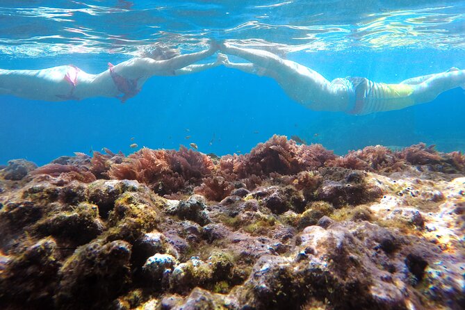 Kayak and Snorkeling Tour in Underwater Nature Reserve Garajau - Who should book this activity?