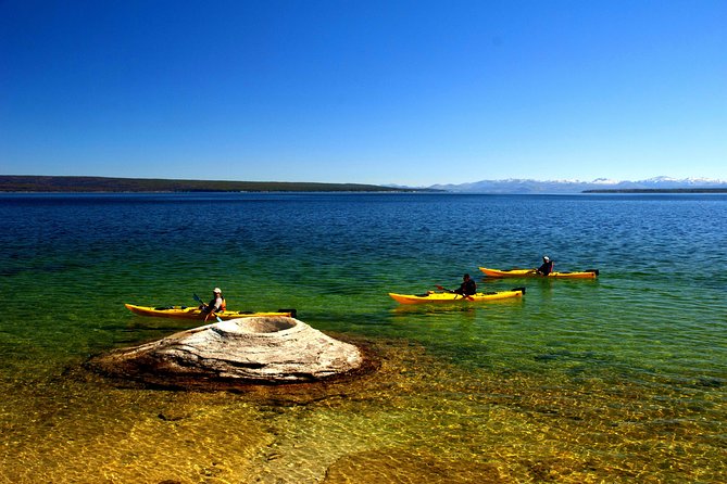 Kayak Day Paddle on Yellowstone Lake - Grant Marina at 9:00 a.m.