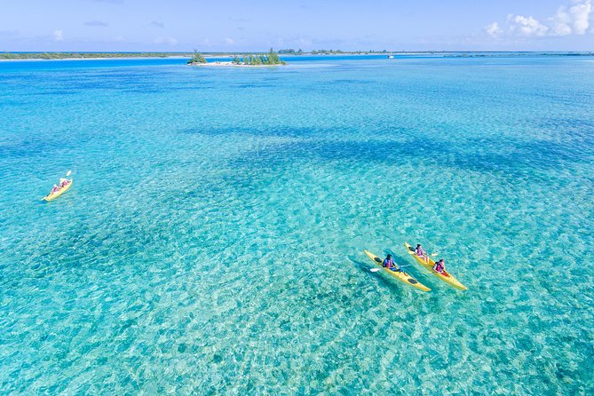 Kayak Eco Tour - Key points to know before you book