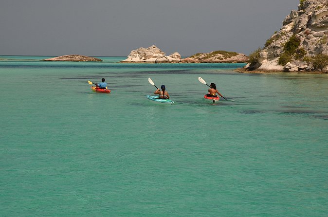 Kayak Eco Tour - What the guide adds to the experience