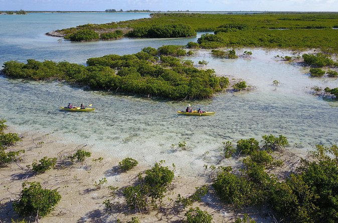 Kayak Eco Tour - Is $296 a fair price?