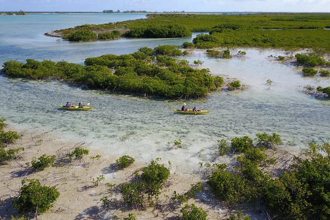 Kayak Eco Tour - Who will enjoy this tour most