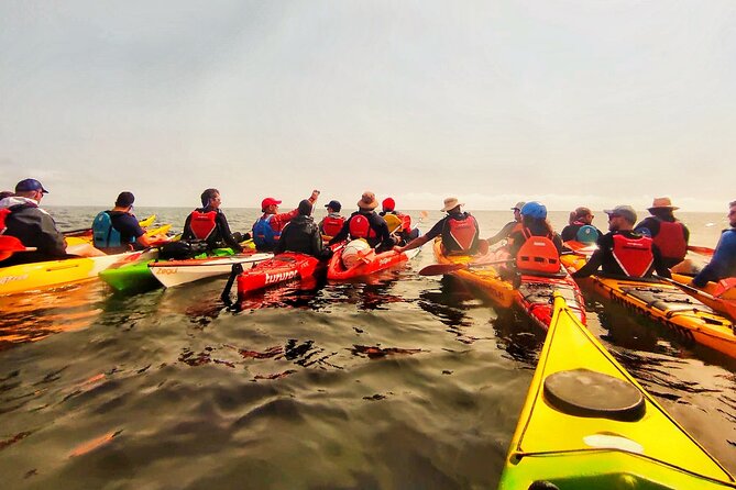 Kayak excursion to Cova dels Coloms from Platja Mascarat - Snorkeling equipment and time in the water