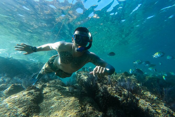Kayak Expedition to the Arch of Cabo San Lucas, Lovers Beach & Snorkel - What the $90 price includes