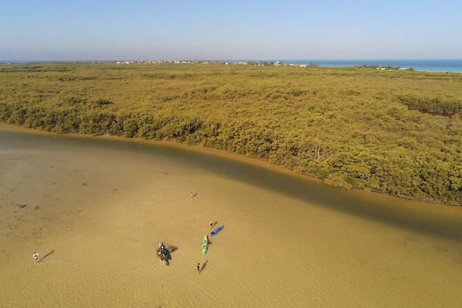 Kayak Experience in the Mangroves of Holbox Island - What the Punta Mosquito Start Means