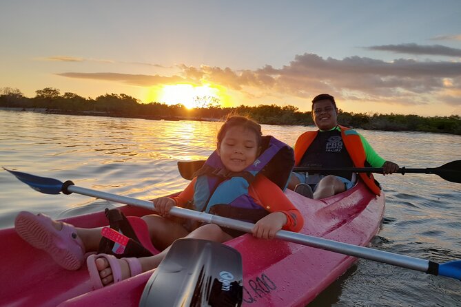 Kayak Experience in the Mangroves of Holbox Island - Wildlife Without a Motor