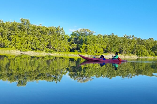 Kayak Experience in the Mangroves of Holbox Island - The Kayak Is the Main Physical Challenge