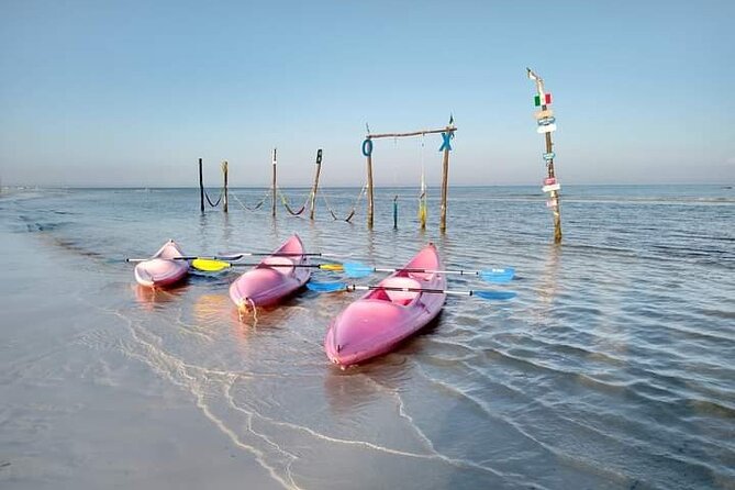 Kayak Experience in the Mangroves of Holbox Island - Is $56.75 Good Value?