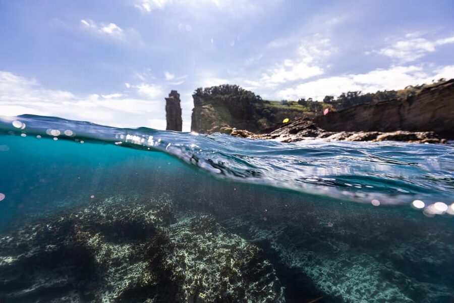 Kayak Guided Tour: Vila Franca do Campo Islet - Who should book this kayaking tour?